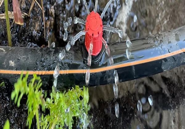 Microirrigação e gotejamento no RS